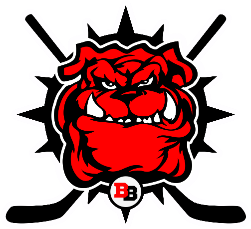 Brewster Bulldogs 2016 Secondary Logo iron on transfers for clothing